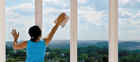 VEX DETERGENTE PROTEGGENTE PER VETRI A LUNGA DURATA